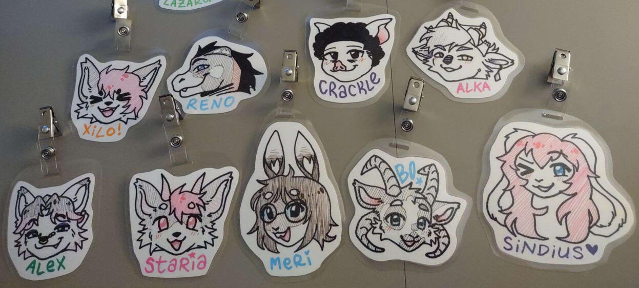 Photo of a bunch of laminated and clipped badges